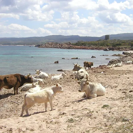 Agroturismo Li Pireddi
