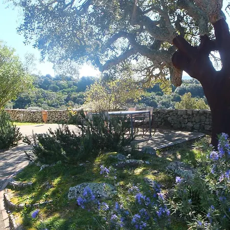Agroturismo Li Pireddi Aglientu