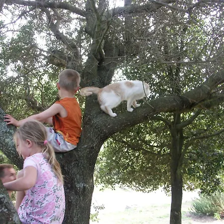 Li Pireddi Agroturismo *