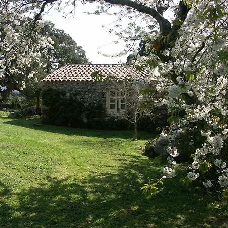 Li Pireddi Agroturismo Aglientu